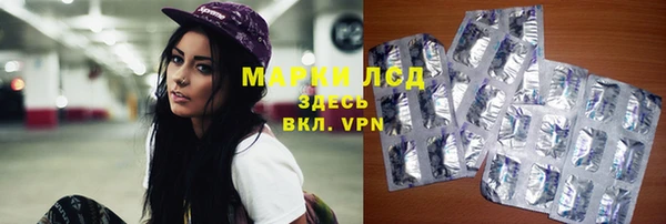 мяу мяу мука Алзамай