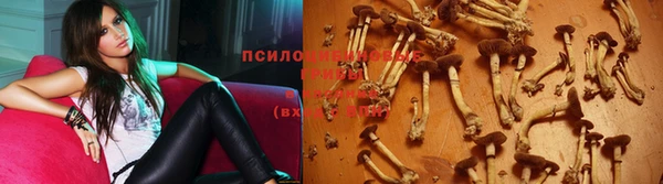 ECSTASY Алексеевка