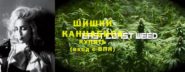 СК Аркадак