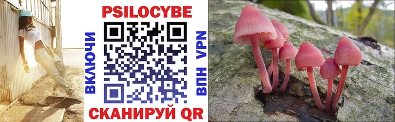Галлюциногенные грибы Cubensis Чухлома